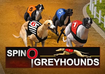 Spinosports Greyhounds