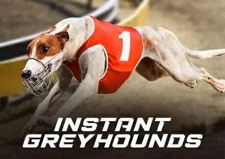 Instant Greyhounds